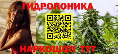 винт Дубна