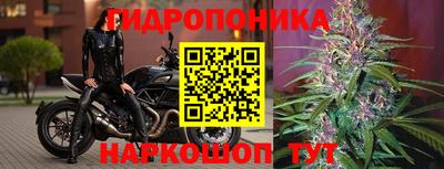 apvp Донской